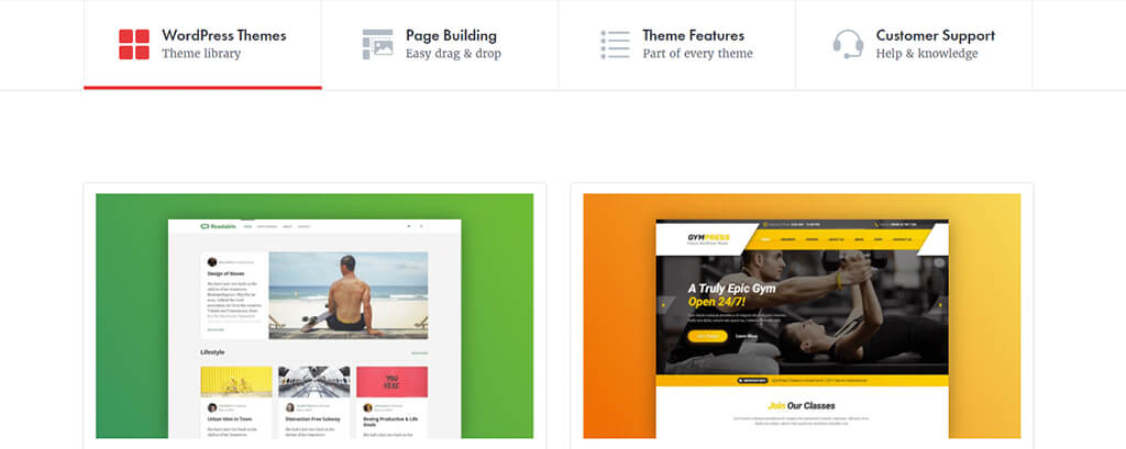 Expand Your Website with Themes