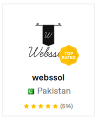 best website developer in pakistan