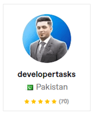 top quality developer in pakistan