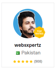 top wordpress website developer in pakistan