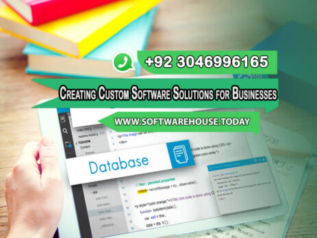 Creating-Custom-Software-Solutions-for-Businesses
