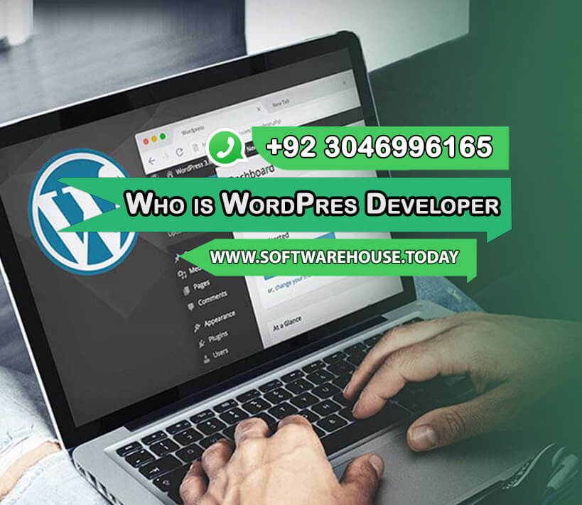 Who-is-wordpress-developer