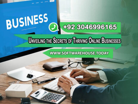 From-Startup-to-Success-Unveiling-the-Secrets-of-Thriving-Online-Businesses