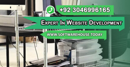 Expert in Website Development