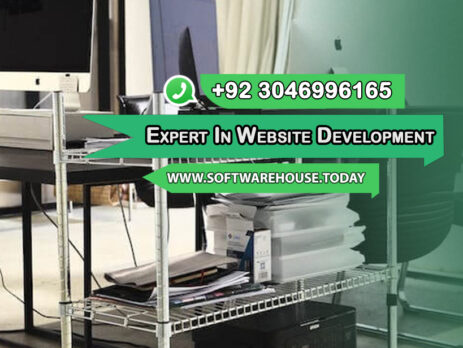 Expert in Website Development