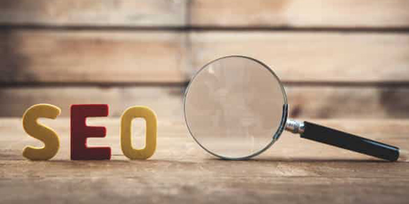 Elevate Your SEO Game