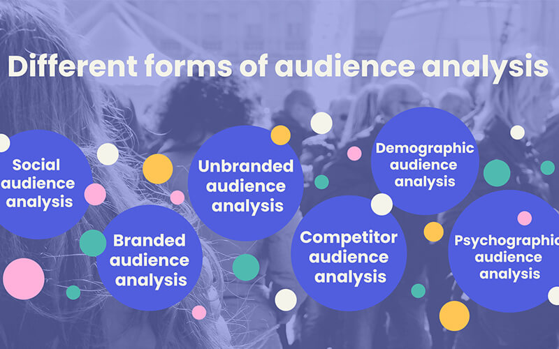 Analyzing Audience Behavior and Feedback 