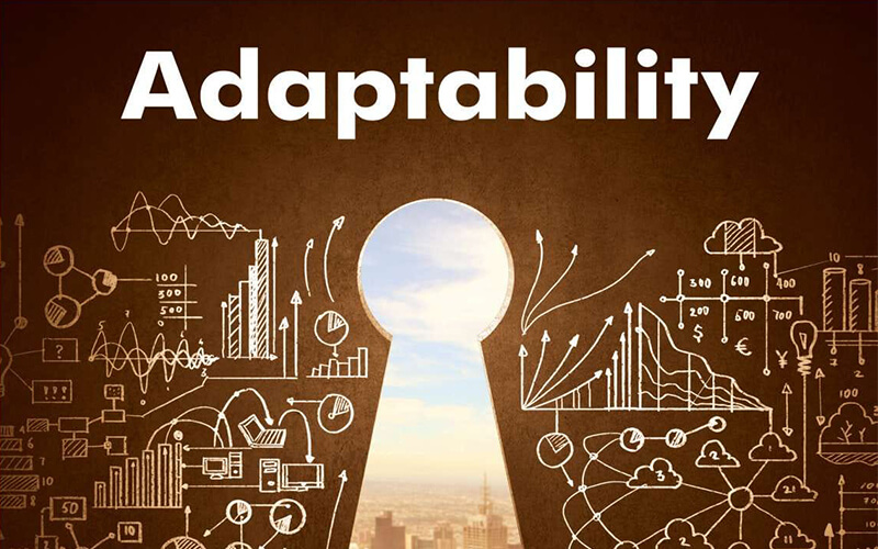 Medium and Adaptability