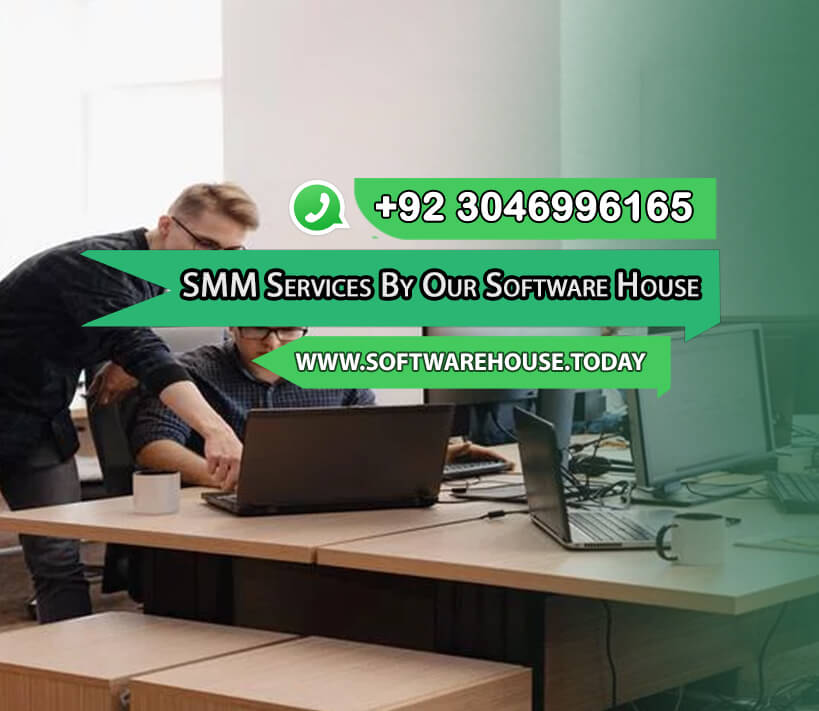 Professional SMM Services By Our Software House
