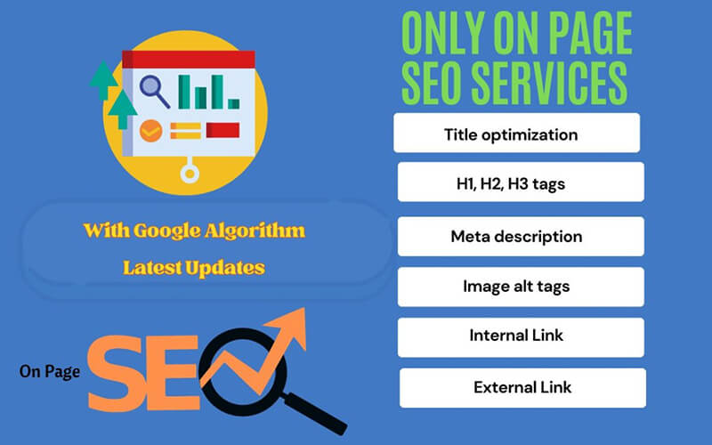 Expert On-Page SEO Optimization