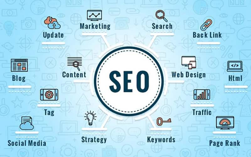 Introduction to SEO Courses