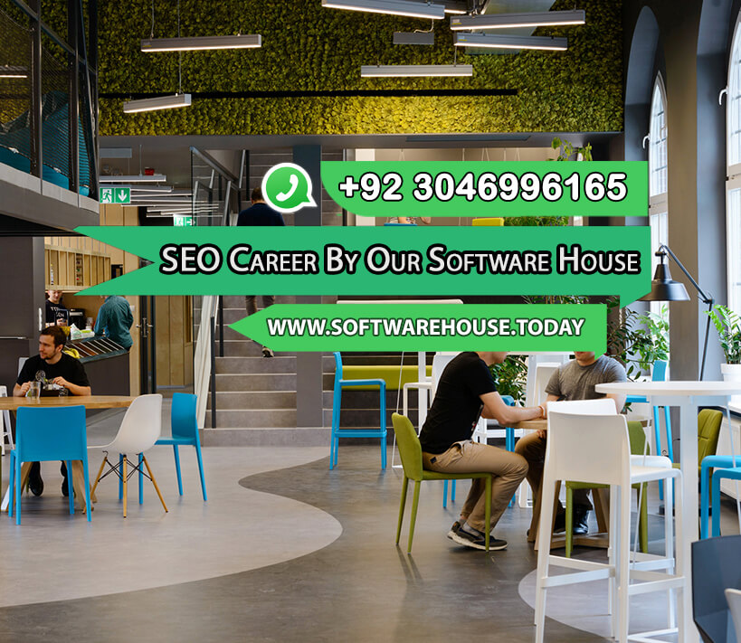 SEO Career By Our Software House