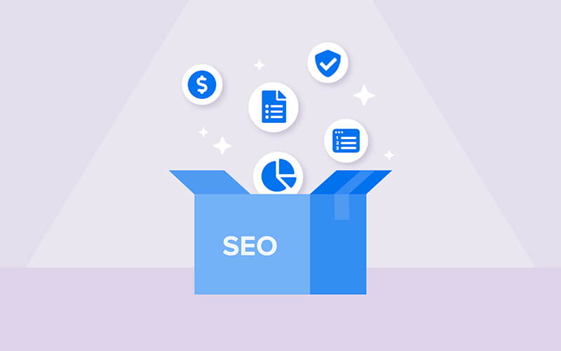 Identifying Skills That Drive Successful SEO Campaigns