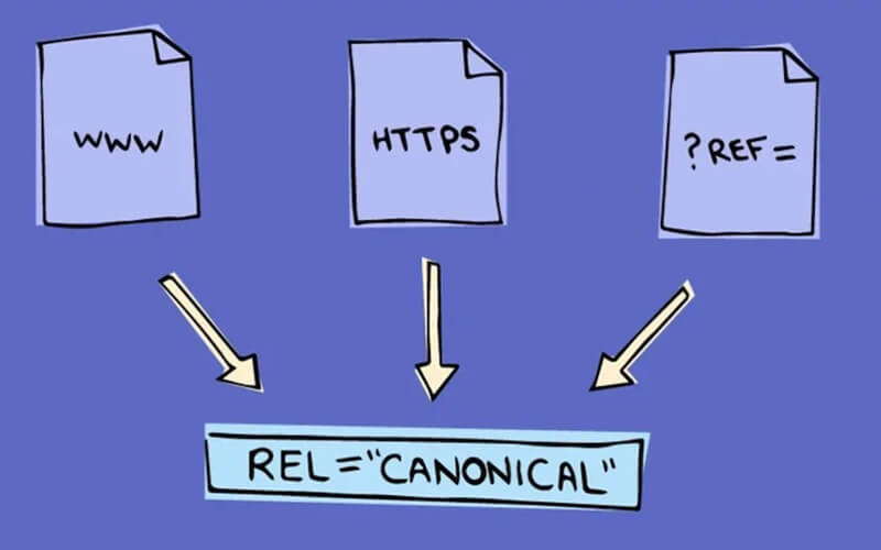 Managing Canonical Links and SSL Certificates