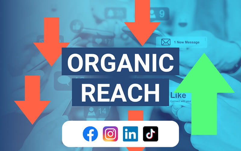 Maximizing Organic Reach on YouTube