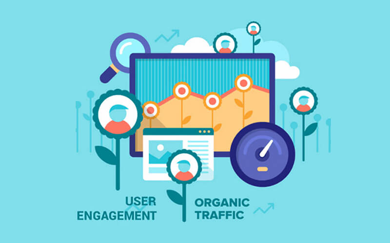 The Steps We Take to Drive Organic Engagement