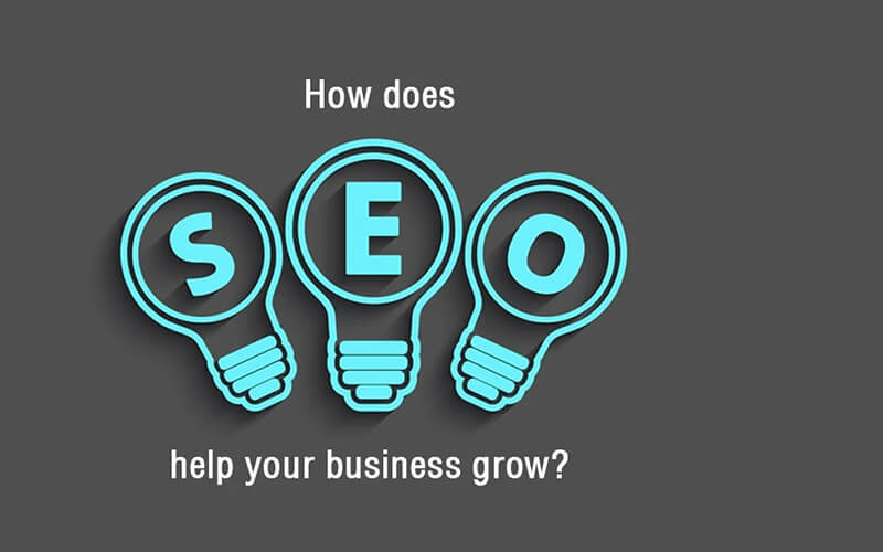 Using SEO to Help Your Business