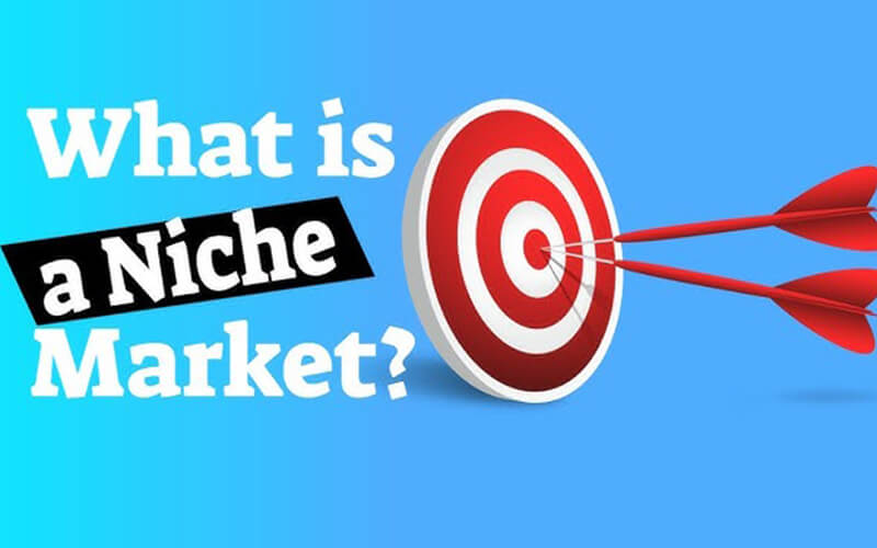 Understanding the Power of Niche Marketing on YouTube