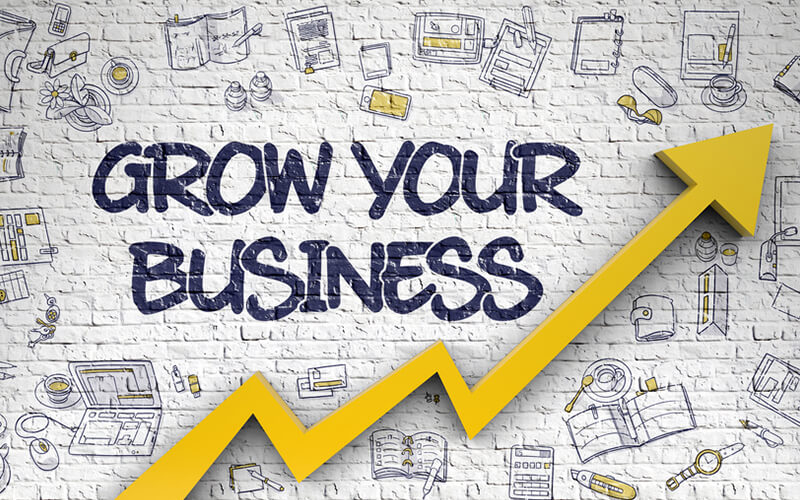 Grow Your Business with Professional Strategies