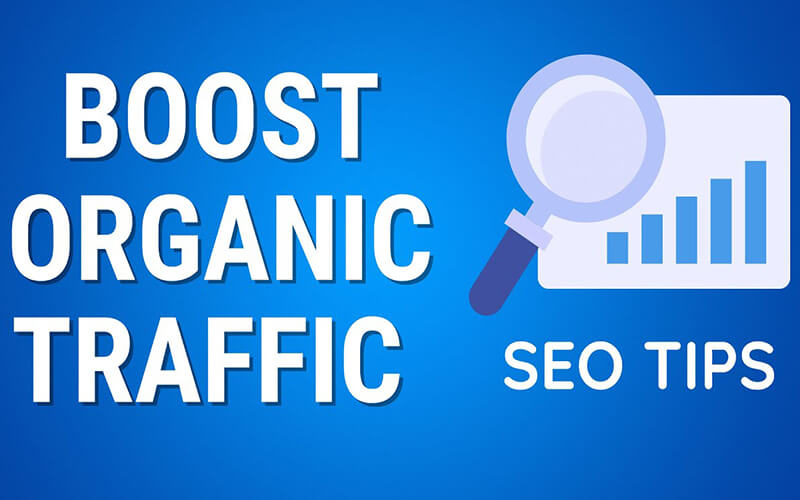 How Can SEO Boost Your Website Organic Traffic in 2024