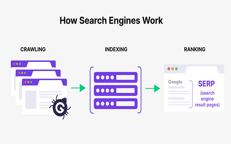 How Search Engines Work and Why SEO Matters