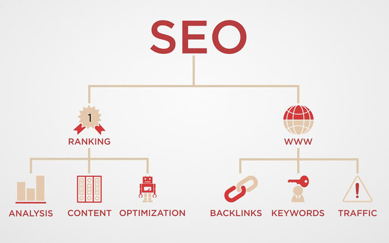 Key Traits of SEO Success