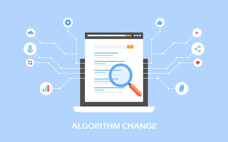 The Role of Algorithms in Determining Search Rankings