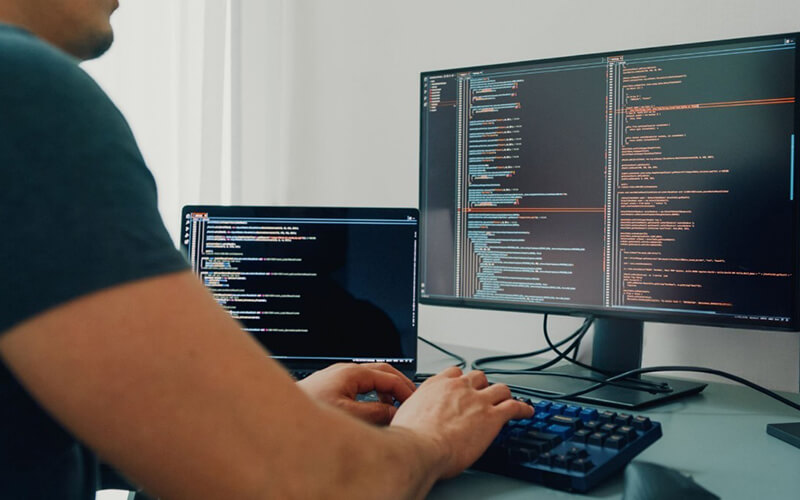 Affordable WordPress Web Development Services in Florida, USA