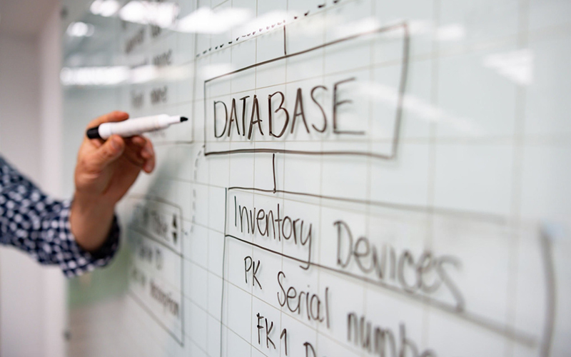 Long-Term Business Value of Professional WordPress Web Development Services in Florida