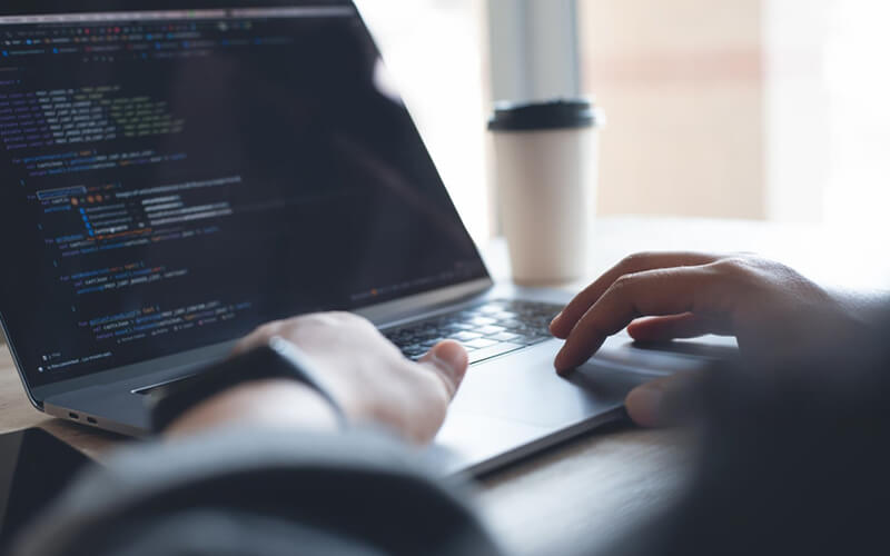 Core Technical Expertise of a WordPress Developer in Illinois for Modern Websites